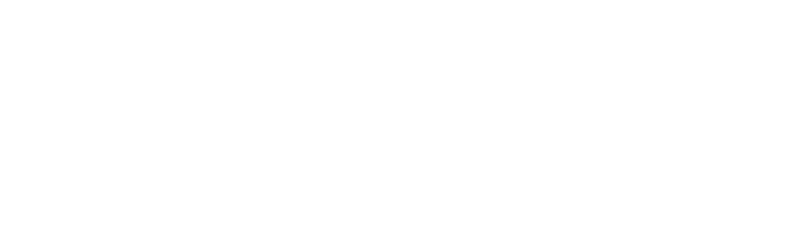 日本では、“別種の力”もしくは“黒い幽霊”と呼ばれている。亜人が出す分身のようなもので、亜人本人の意思で操ることができる。その形状は、人間に擬態した黒い霧状の物体で、全身に包帯をまとっている。だが、その姿を亜人以外の人間は見ることができない。<br>そのため、日本の研究者の中には、黒い幽霊はその名の通り、霊的なものではないかと言う者もいる。しかし、亜人研究の第一人者、オグラ・イクヤ博士は、IBMは幽霊などではなく、<br>れっきとした物質であると主張している。